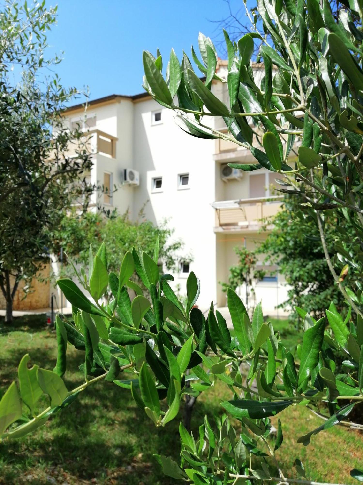 Apartments Monika 宁 外观 照片